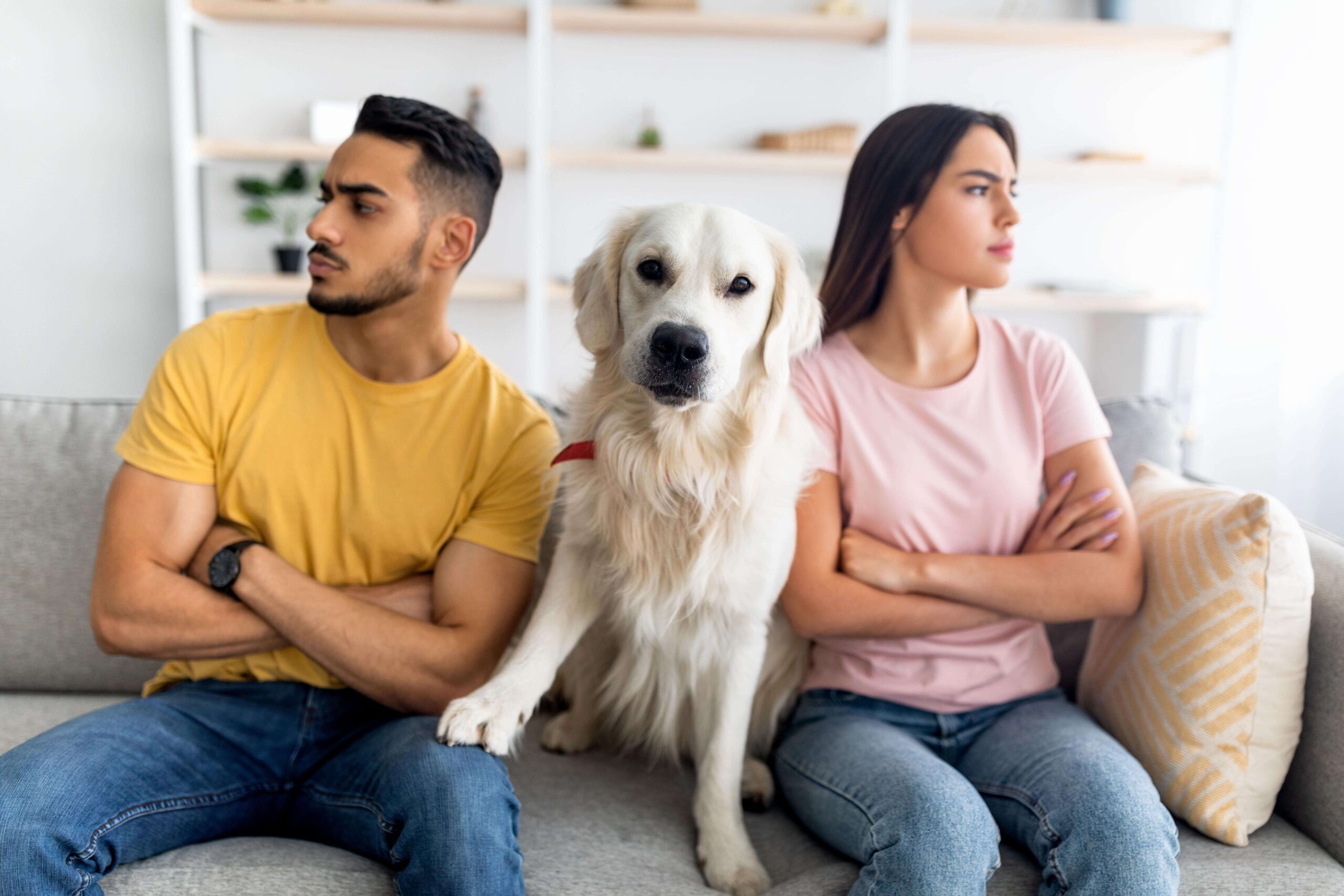 Couple unhappily sits beside their dog, unsure who gets pet custody in Washington state.